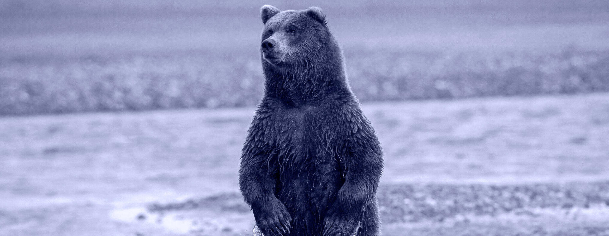 Voittava mallimme Voittava mallimme