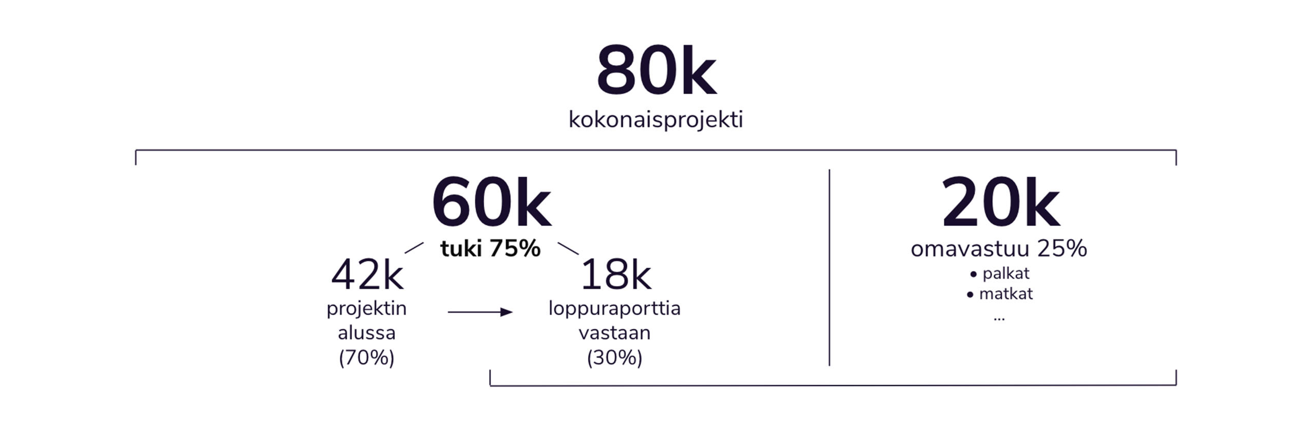 Harmaakarhu temporahoitus